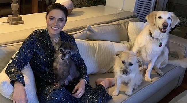 Başarılı oyuncu Ezgi Mola&#039;nın acı günü