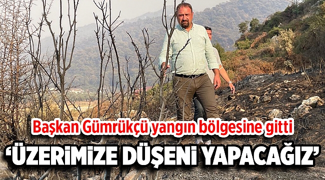 Başkan Gümrükçü yangın bölgesinde
