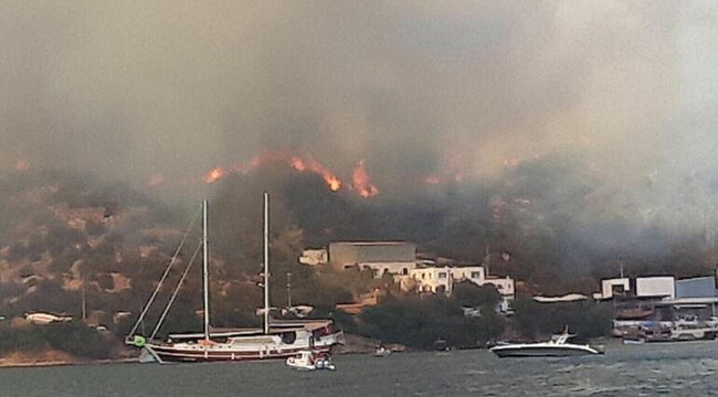 Bodrum'da alevler köye girdi evler yanıyor!