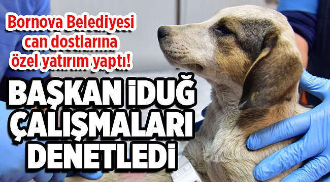 Bornova Belediyesi can dostlarına özel yatırım