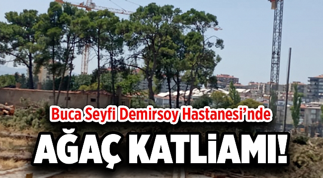 Buca Seyfi Demirsoy Hastanesi&#039;nde ağaç katliamı