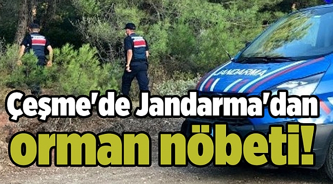 Çeşme'de Jandarma'dan orman nöbeti!