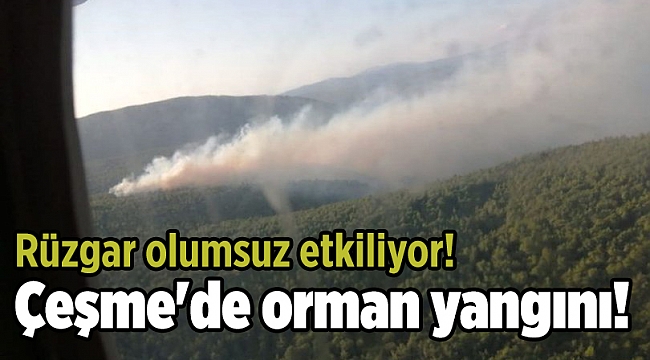 Çeşme&#039;de orman yangını çıktı!