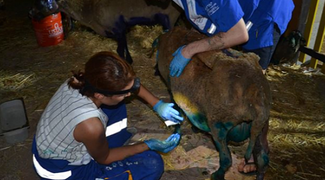 HAYTAP&#039;tan çağrı: Onları unutmayın!