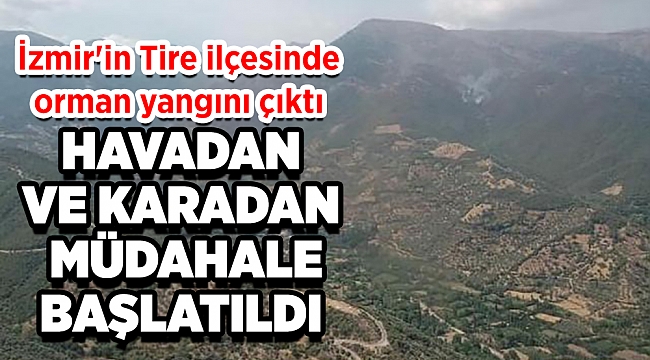 İzmir’de korkutan yangın: Havadan ve karadan müdahale ediliyor
