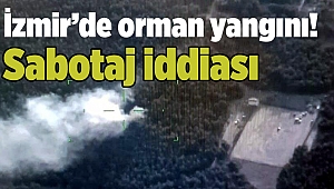 İzmir'de orman yangını! Sabotaj iddiası
