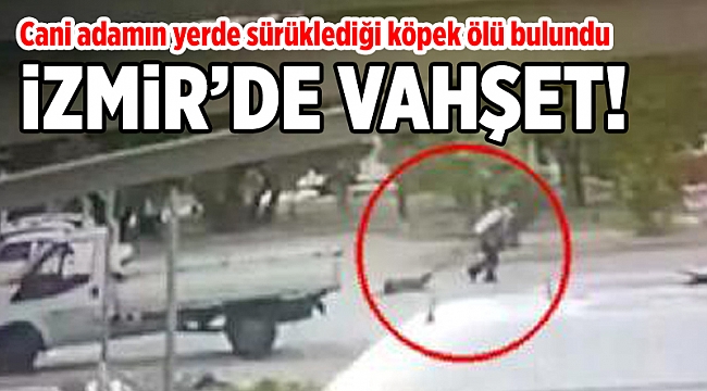 İzmir’de vahşet yaşandı: Cani adamın yerde sürüklediği köpek ölü bulundu