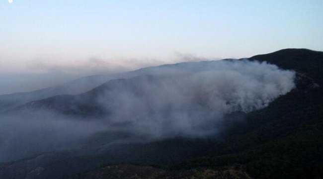 Kazdağları'ndaki yangına havadan müdahale günün ilk ışıklarıyla başladı