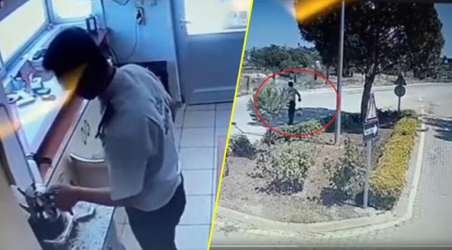 Köpeğin üzerine kaynar su dökmüştü! 'Pes' dedirten ifade: Korkutursam saldırmaz diye düşündüm