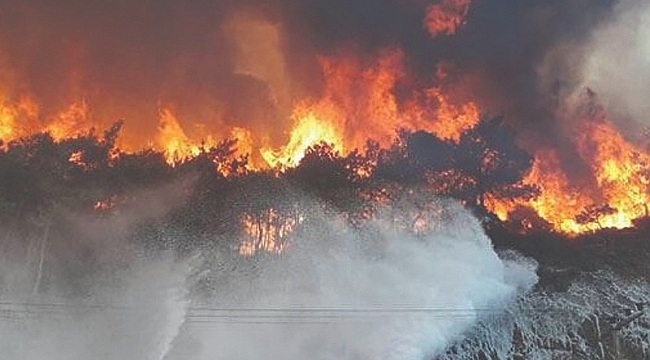 Manavgat'ta korkutan yeni yangın
