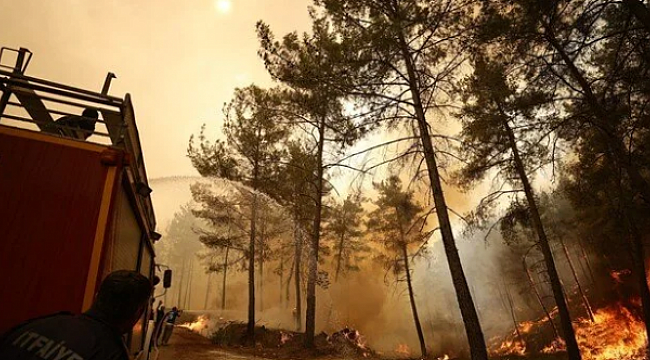Marmaris'te itfaiye aracı şarampole yuvarlandı!