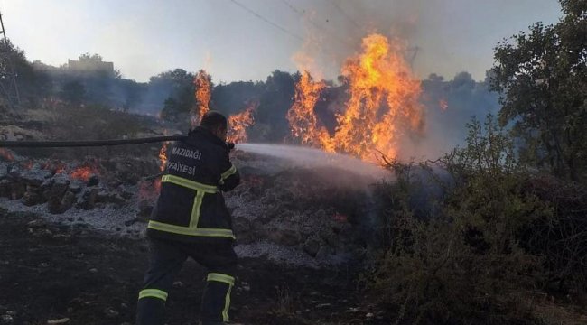 Mazıdağı'nda orman yangını paniği