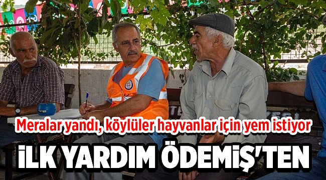 Meralar yandı, köylüler hayvanlar için yem istiyor