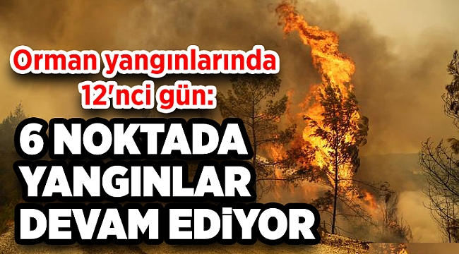 Orman yangınlarında 12'nci gün: 6 noktada yangınlar devam ediyor