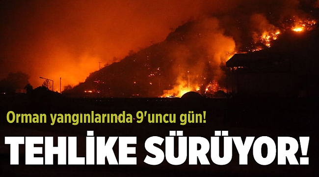 Orman yangınlarında 9'uncu gün! Manavgat ve Milas'ta tehlike sürüyor