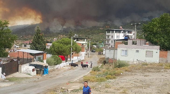 Orman yangınlarında son dakika gelişmeleri