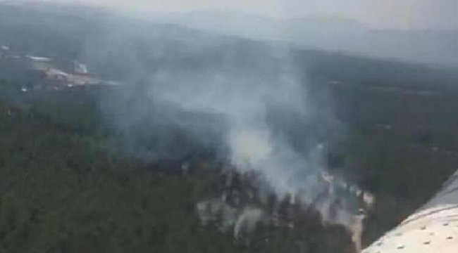 Son dakika! Manisa'da orman yangını