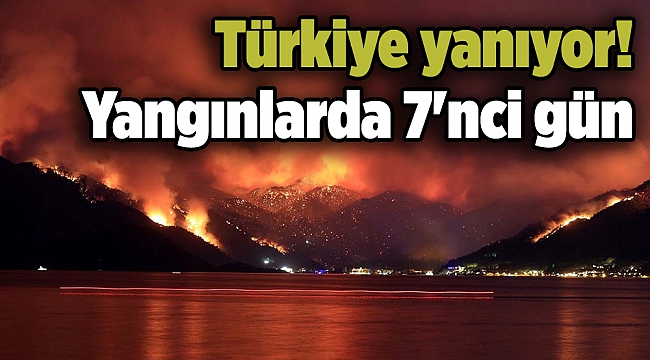 Türkiye yanıyor! Yangınlarda 7&#039;nci gün
