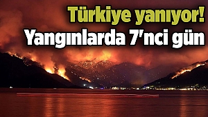 Türkiye yanıyor! Yangınlarda 7'nci gün