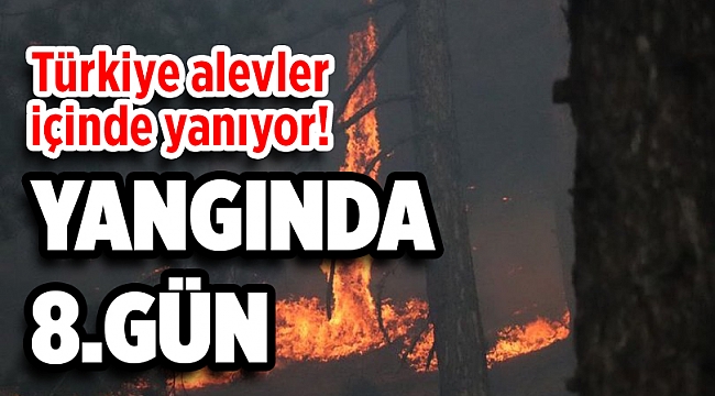Türkiye yanıyor! Yangınlarda 8&#039;inci gün