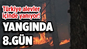 Türkiye yanıyor! Yangınlarda 8'inci gün