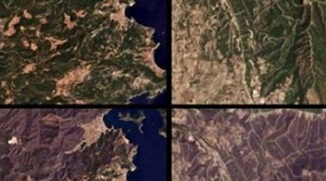 Yangın felaketlerinin tahribatı uydudan böyle görüntülendi