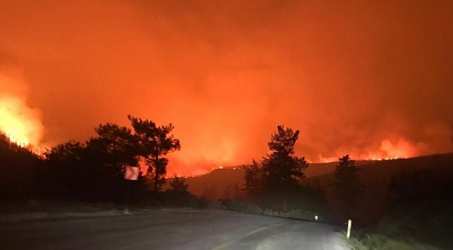 Yangınlar 2 kentte sürüyor: Mersin'dekiler kontrol altında