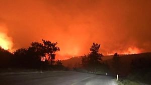 Yangınlar 2 kentte sürüyor: Mersin'dekiler kontrol altında