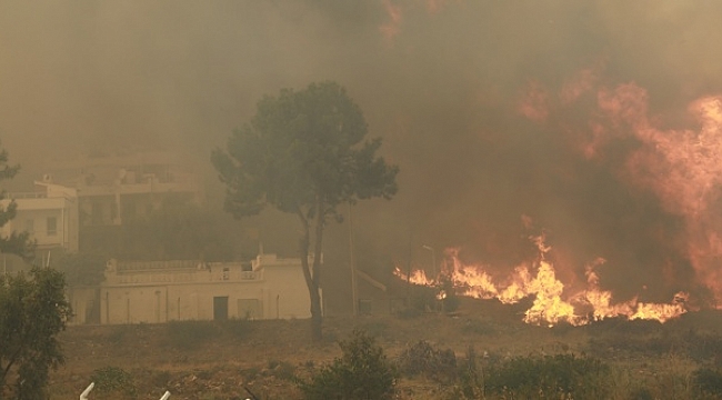 Yangınlar nasıl büyüyor? Küresel ısınma ve poyraz etkisi