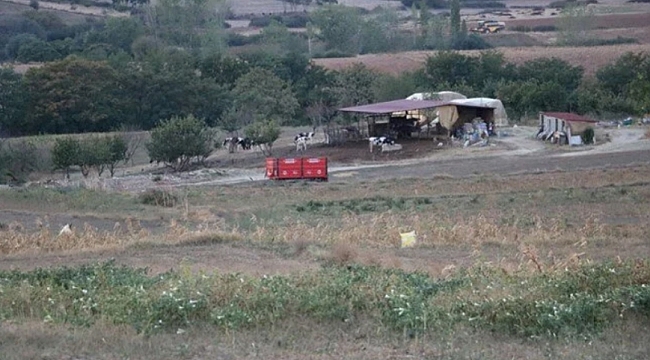 8 köyde ‘mavi dil’ karantinası paniği!