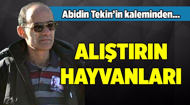 Abidin Tekin&#039;in Kaleminden...