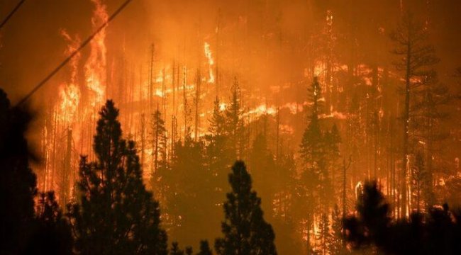 Caldor Yangını: California'da on binlerce kişi evlerinden tahliye edildi