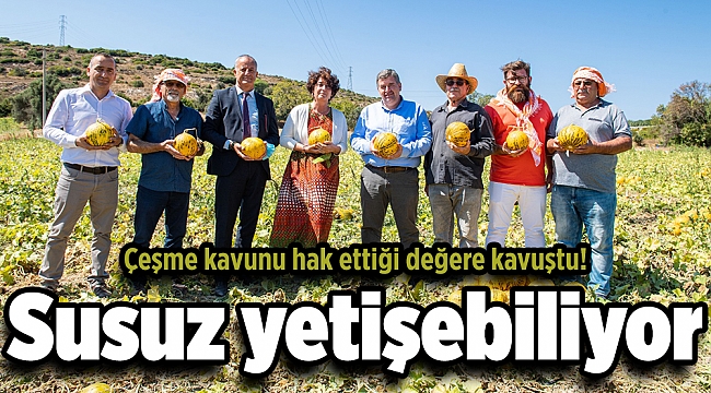 Çeşme kavunu tescillendi