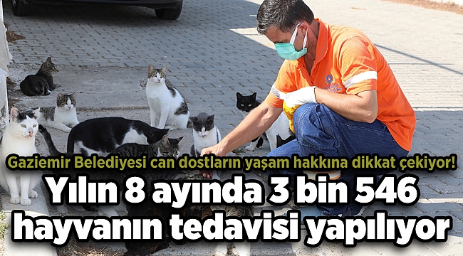 Gaziemir Belediyesi can dostların yaşam hakkına dikkat çekiyor