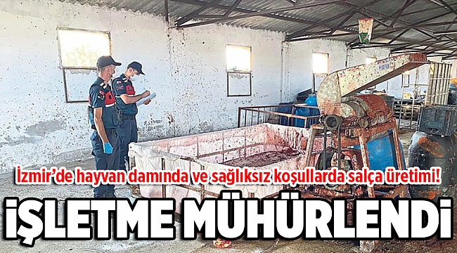 Hayvan damına salça baskını