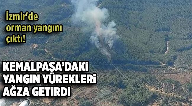 İzmir'de korkutan orman yangını!