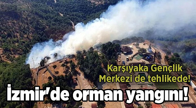 İzmir&#039;de orman yangını!