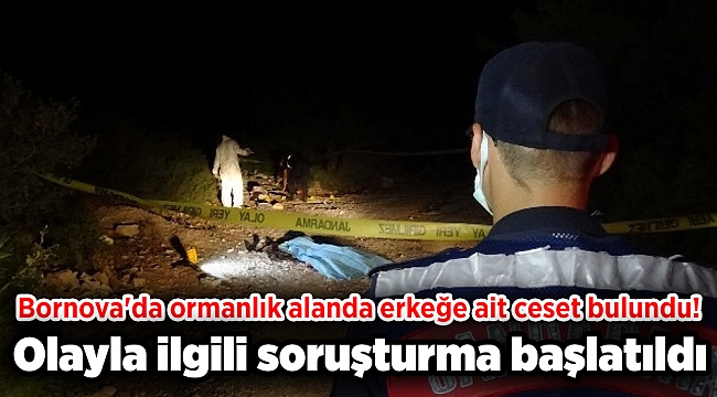 Ormanlık alanda ceset bulundu: Kaza mı, cinayet mi?