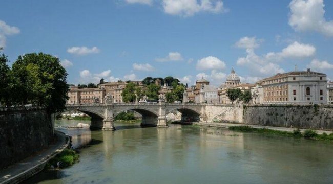Roma'da Tiber Nehri'nde binlerce ölü balık: "Nedeni kent sokaklarının pisliği olabilir"
