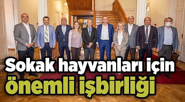 Sokak hayvanları için işbirliği yapılacak