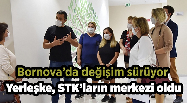 Yerleşke, STK’ların merkezi oldu