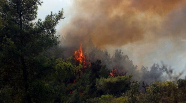 YPG/PKK'lı teröristten orman yangınlarıyla ilgili itiraf!