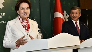 Akşener, Erdoğan'ın yaptığı üç teklifi açıkladı