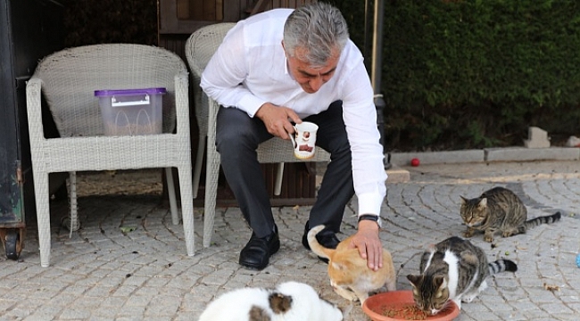 Güzelbahçe ‘den ortak çağrı: 'Satın alma, sahiplen'