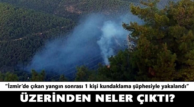 İzmir'de çıkan yangınla ilgili 1 şüpheli gözaltında