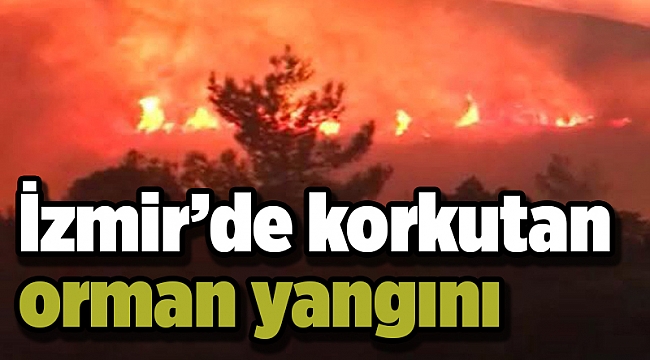 İzmir’de korkutan orman yangını