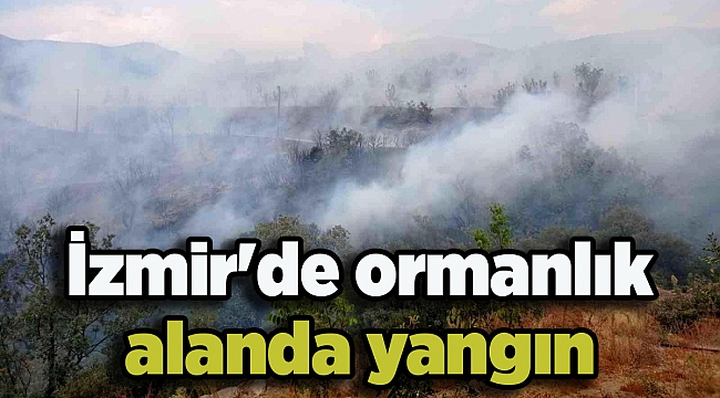 İzmir'de ormanlık alanda yangın