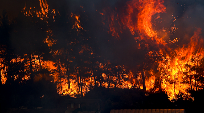 Manavgat yangınıyla ilgili ilk iddianame hazırlandı
