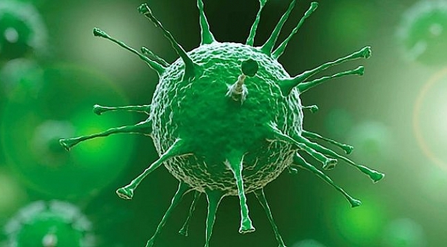 Son 24 saatte 3 bin 96 kişi pozitif!