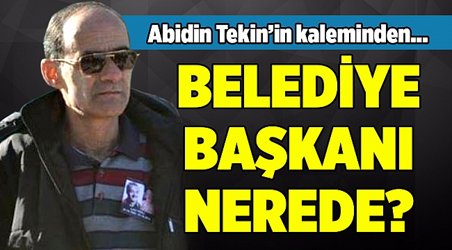 Abidin Tekin'in Kaleminden...